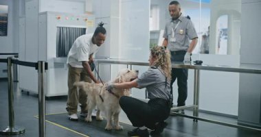 Havaalanı Terminali 'nde evcil hayvan işlemleri sırasında evcil hayvan besleyen Afro-Amerikan Adam: Kadın TSA Memuru Köpek Tarayıcı Metal Detektörü kullanıyor. Uçağa binmeden önce Güvenlik Kontrol Noktasında Hayvan Denetleme.