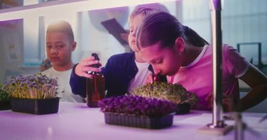 İlkokul öğrencileri Masa 'da oturuyor, mikroçim yetiştiriyor, cımbız kullanıyor, besleyici su sıkıyor. Çok Kültürlü Sınıfta Biyoloji okuyan Zeki Çocuklar Grubu. STEM Eğitimi