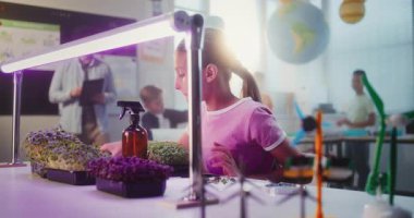 Yetenekli Kız Masada Oturuyor ve Akıllı Telefon Kullanıyor, Bitkiler üzerine Cımbız ve Büyüteçle Biyoloji Deneyi Yapıyor. Sınıfta ders sırasında ilkokul çocukları. STEM Eğitimi.