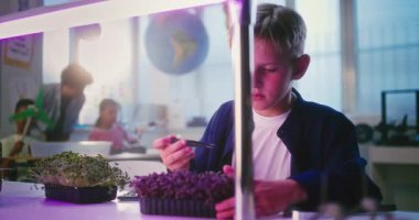 İlkokul çocuğu Masada Oturuyor ve Akıllı Telefon Kullanıyor, Cımbız ve Büyüteç kullanarak Deneysel Mikroçimler Büyütüyor. Akıllı Genç Sınıfta Biyoloji okuyor. STEM Eğitimi.