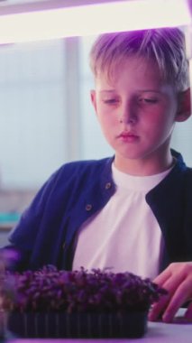 Akıllı Telefon Kullanan Yetenekli Çocuk, Cımbız Kullanarak Bitkiler Üzerinde Biyoloji Deneyi Yapıyor. İlkokul çocukları bilim dersinde sınıftalar. BTMM Eğitim. Dikey Çekim.