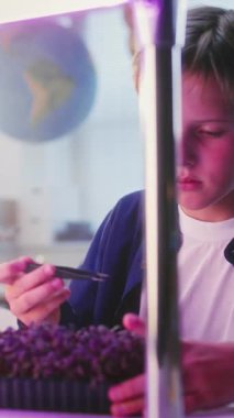 İlkokul çocuğu akıllı telefon kullanıyor, cımbız ve büyüteç kullanarak deneysel mikroçimler yetiştiriyor. Akıllı Genç Sınıfta Biyoloji okuyor. BTMM Eğitim. Dikey Çekim.