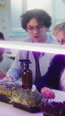 İlkokul öğrencileri, Biyoloji okuyan, Büyüme Işığı Altında Deneysel Mikroçimler Yeşillendiriyor. Çok Kültürlü Sınıfta Zeki Çocuklar Eğitmen Grubu. BTMM Eğitim. Dikey Çekim.