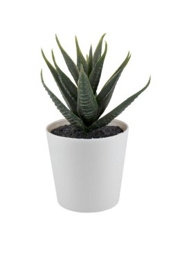 Beyaz arkaplanda izole edilmiş tencerede sulu