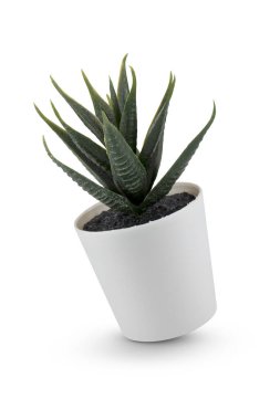 Beyaz arkaplanda izole edilmiş tencerede sulu