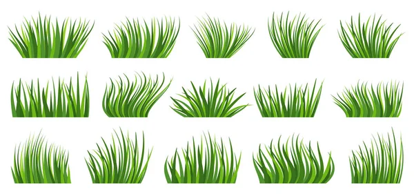 緑の芝生の自然有機芝生のフラットセット 夏のバイオハーブ牧草地 エコプラント新鮮なブッシュ 白い背景に異なる形状の春のハーブ芝 緑の葉の漫画のアイコン 葉の風景境界線 — ストックベクタ