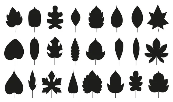 Leaf Black Flat Silhouette Icon Set Eco Nature Organic Leaves — Stock Vector