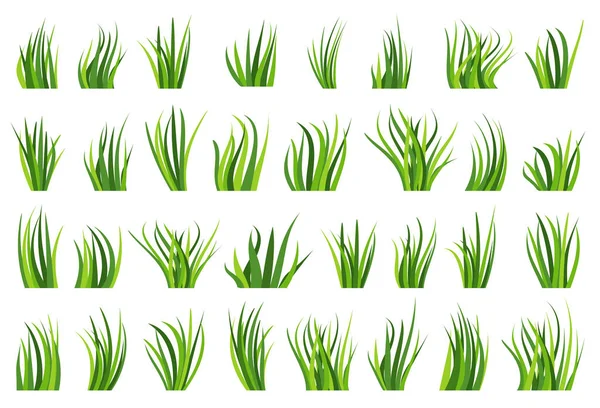 緑の芝生の自然有機芝生のフラットセット 白い背景に異なる形状の春のハーブ芝 緑の葉の漫画のアイコン 葉の風景の境界線 夏のバイオハーブ牧草地 エコプラント新鮮なブッシュ — ストックベクタ