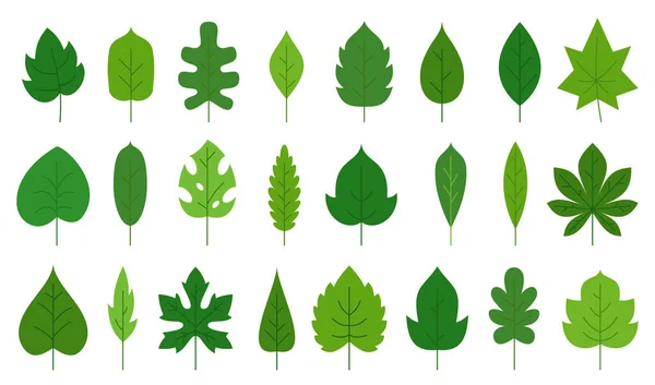 Green Leaf Flat Floral Icon Set Eco Nature Organic Leaves — Stock Vector