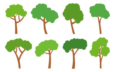 Yeşil ağaçlar düz simge seti. Orman yeşillikleri, açık hava çiçekleri. Farklı şekilli botanik parkı çizgi film bitkileri. Doğal ekoloji yaz bahçesi. Akçaağaç meşesi ağacından kavak ağacı külü beyaza izole edilmiş.