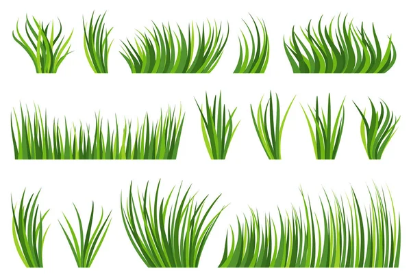 緑の芝生の自然有機芝生のフラットセット エコプラント新鮮なブッシュ 白い背景に異なる形状の春のハーブ芝 夏のバイオハーブ牧草地 緑の葉の漫画のアイコン 葉の風景境界線 — ストックベクタ