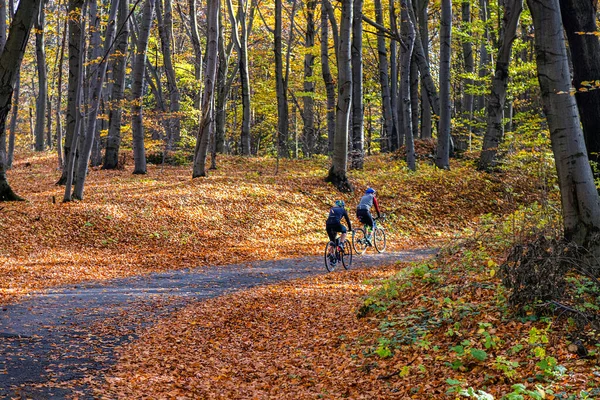 Ciclistas Passeio Longo Caminho Floresta Outono Entre Folhas Vermelhas — Fotografia de Stock