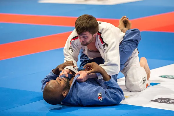 ABU DHABI, UAE - 19 Nisan 2016: ABU DHABI World PROFESSIAL JIU-JITSU CHAMPIONSIP 2016, IPIC ARENA. Beyaz ve mavi kimonolu dövüşçüler parterre içinde dövüşüyor..