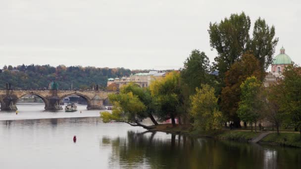 Utsikt Över Floden Vltava Och Berömda Karlsbron Gamla Prag — Stockvideo