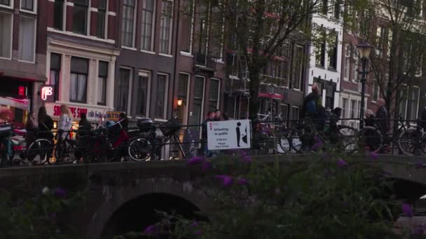 人们晚上在阿姆斯特丹的桥上散步 我们看到一个标志在公共场合小便 — 图库视频影像
