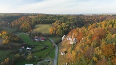 Yol manzarası ve kırsal alandaki evler. Sonbahar ormanının geniş bir görüntüsü..