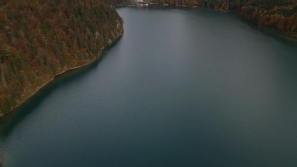 ノイシュヴァンシュタイン城を望むアプゼー湖上空の航空便 — ストック動画