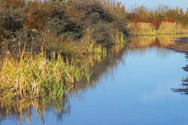Sonbahar gökyüzünün altında yansımalı gölet.