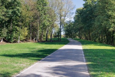 Güneşli bir günde yeşil bir parkta terk edilmiş bir yol..