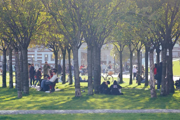 Amsterdam - 02 Ekim 2022 - Gençler Museumplein 'deki ağaçların arasında dinleniyor.