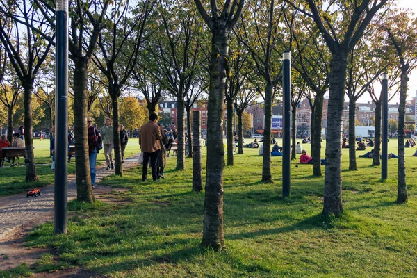 Amsterdam - 02 Ekim 2022 Müze 'de yürüyen ve ağaçların arasına giden insanlar.
