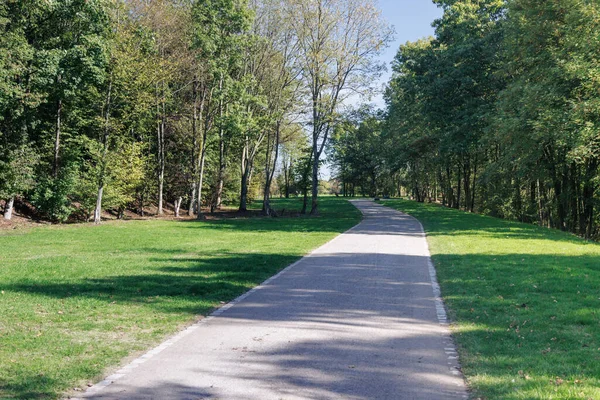 Güneşli bir günde yeşil bir parkta terk edilmiş bir yol..