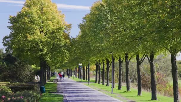 Menschen Laufen Bei Sonnigem Wetter Nordsternpark Gelsenkirchen Bei Essen Entlang — Stockvideo