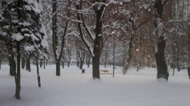 Akşam yürüyüşü kış parkında karın altında.