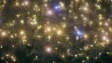 Parlak sarı ve mavi çelenk Noel ağacında.