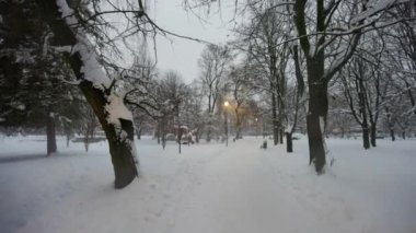 Kış mevsiminde kış parkında patikada.