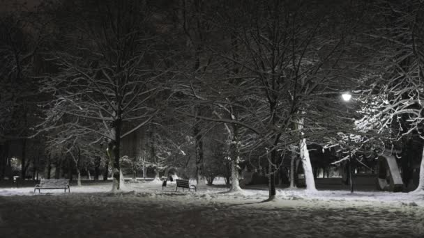 Snow Park Por Noche Hay Árboles Luces Bancos — Vídeos de Stock