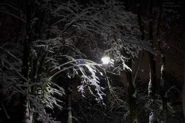 Geceleri karlı parkta fener..