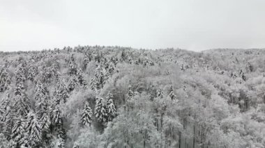 Aerial shot above the winter snowy forest in the mountains.