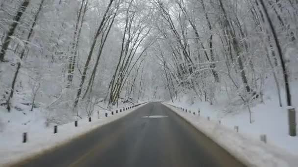 Povビューポーランドの雪の森の中で車なしで冬に空の道路を運転車のショットのポイント — ストック動画