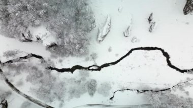 Aerial flight along the winter river in the Ojcowski National Park, Poland.