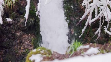 Mini waterfall with icy branches in the winter forest. Slow motion video.