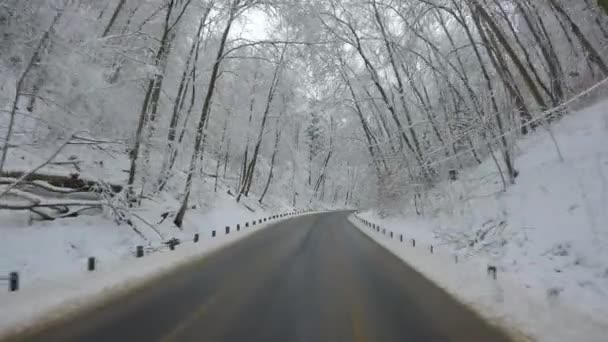 Povポーランドの冬の雪の森の中で車で道路に沿って車のドライブのショットを表示します 寒い冬に車で旅行し 悪天候で運転する — ストック動画