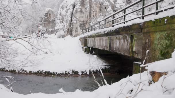 Bridge Small River Winter Shores Covered Snow — 图库视频影像