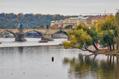 Autumn trees next to the Vltava Prague, Czech.