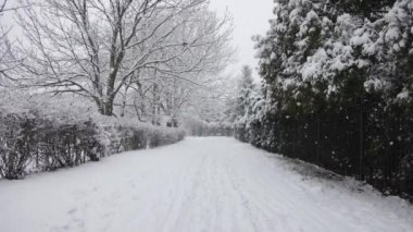 Winter in a public park, large flakes of snow are slowly falling, nobody, in Krakow, Poland.