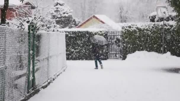 Woman Umbrella Walks Snow Public Park Krakow Poland Slow Motion — Wideo stockowe