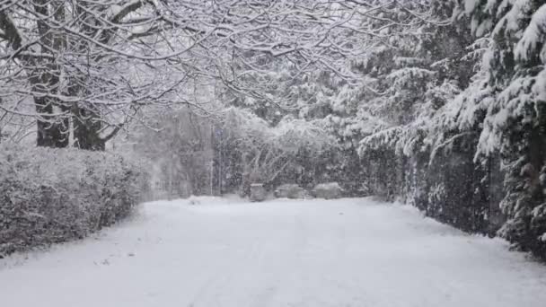 Snowfall Public Park Large Flakes Snow Slowly Falling Nobody Krakow — Vídeo de Stock