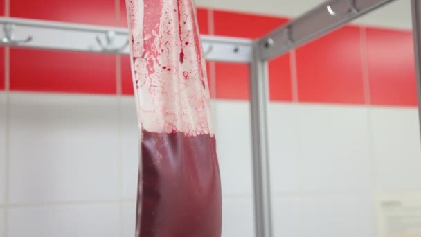 医学研究所の容器に保存されている血液の赤血球のビュー — ストック動画
