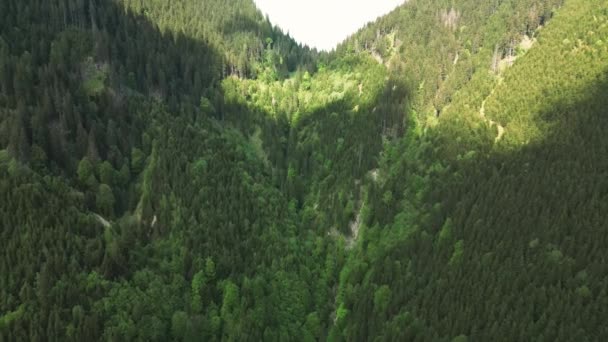 Repül Alpok Hegyekben Drón Mellett — Stock videók