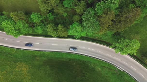夏季阿尔卑斯山蜿蜒曲折的道路的空中景观 — 图库视频影像