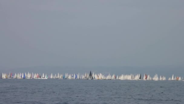 イタリアのトリエステでバルコラナ55でレゲッタに関する数百の帆船 — ストック動画