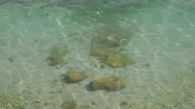 Sakin deniz suyu, altında küçük kayalar var.. 
