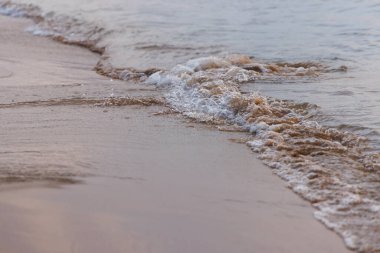 Sahilde köpüren dalgalar.