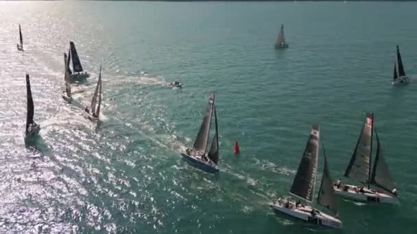 Segelboote Erreichen Bei Der Meisterschaftsregatta Izola Die Bestmarke Luftaufnahme — Stockvideo