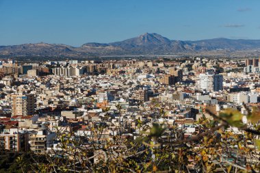 Alicante şehrinin ağaç dalları üzerinden görüntüsü.